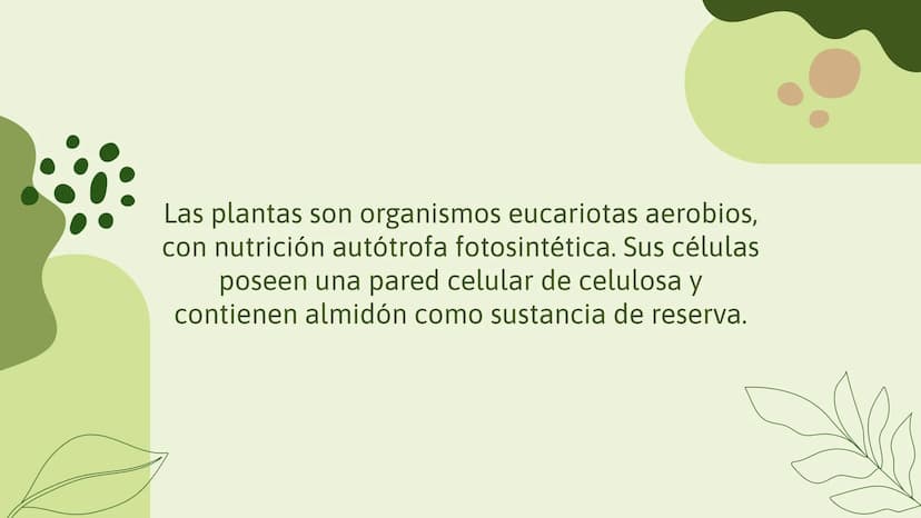 Vo
Trabajo sobre
plantas
Raluca Mihaela Cuibaru Indice
Características generales
01. de las plantas
02. Clasificación de las plantas
05.
Fun