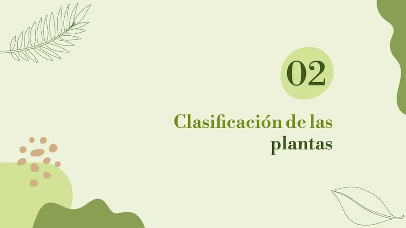 Vo
Trabajo sobre
plantas
Raluca Mihaela Cuibaru Indice
Características generales
01. de las plantas
02. Clasificación de las plantas
05.
Fun