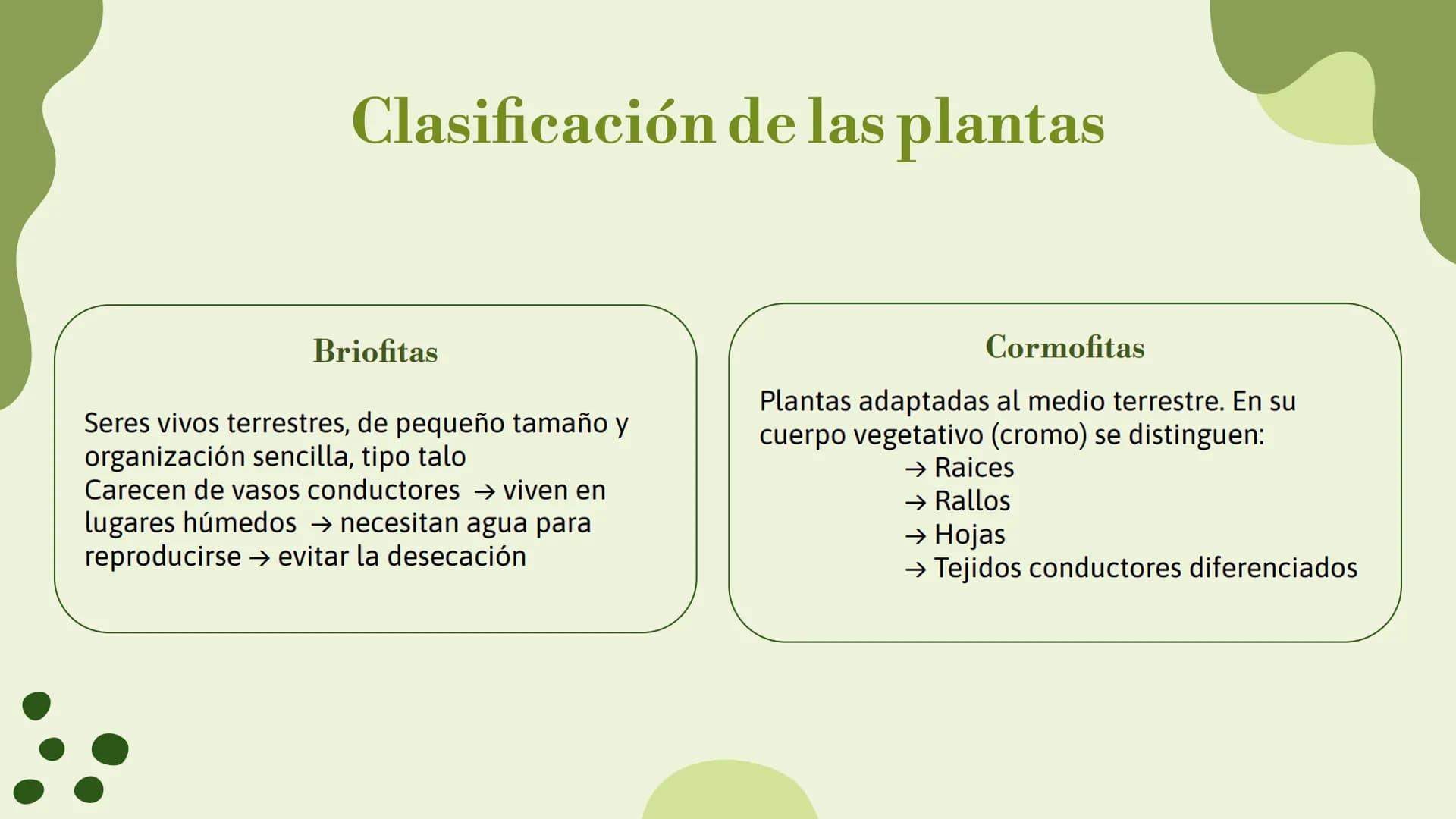 Vo
Trabajo sobre
plantas
Raluca Mihaela Cuibaru Indice
Características generales
01. de las plantas
02. Clasificación de las plantas
05.
Fun