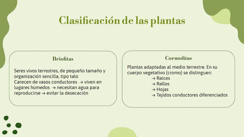 Vo
Trabajo sobre
plantas
Raluca Mihaela Cuibaru Indice
Características generales
01. de las plantas
02. Clasificación de las plantas
05.
Fun