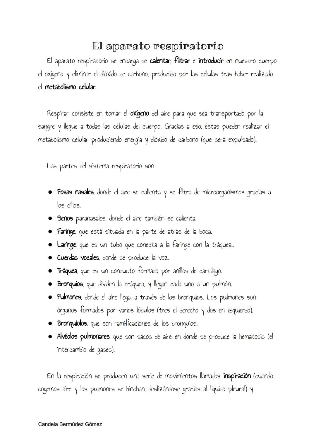 El aparato respiratorio
El aparato respiratorio se encarga de calentar, filtrar e introducir en nuestro cuerpo
el oxígeno y eliminar el dióx