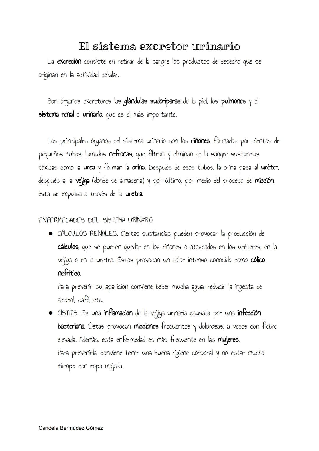 El aparato respiratorio
El aparato respiratorio se encarga de calentar, filtrar e introducir en nuestro cuerpo
el oxígeno y eliminar el dióx