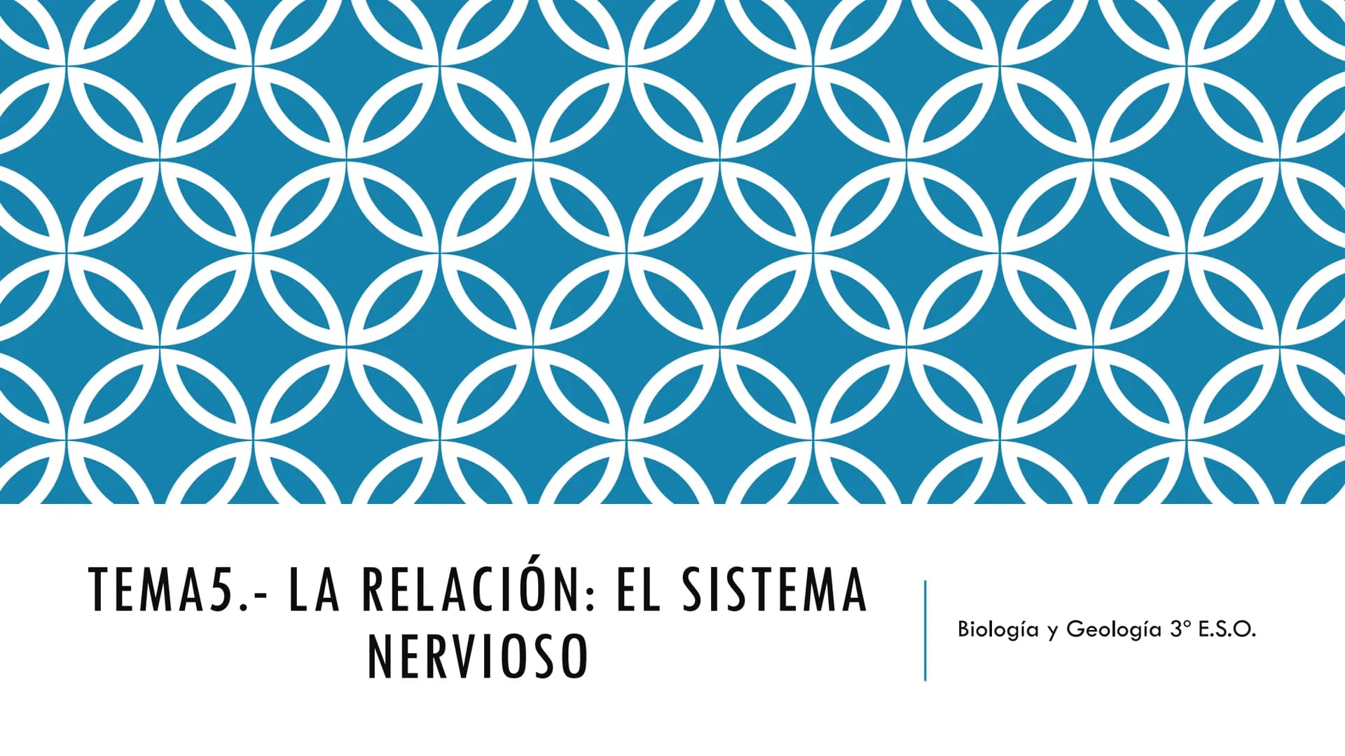 
<p>El sistema nervioso es una parte fundamental del cuerpo humano, encargado de cumplir tres funciones esenciales: la función de relación, 