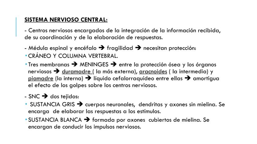 
<p>El sistema nervioso es una parte fundamental del cuerpo humano, encargado de cumplir tres funciones esenciales: la función de relación, 