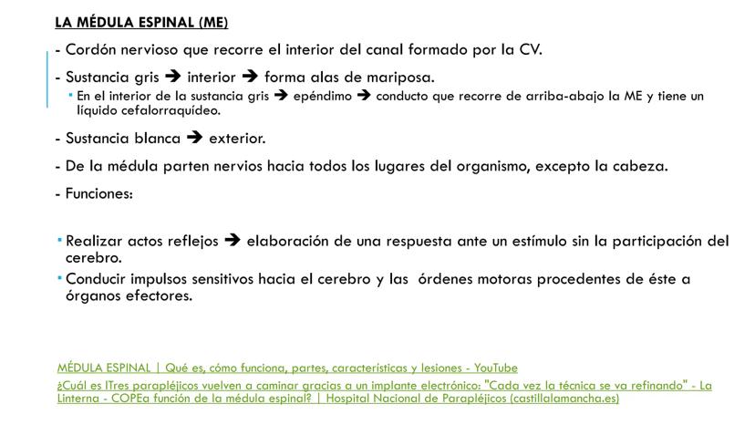 
<p>El sistema nervioso es una parte fundamental del cuerpo humano, encargado de cumplir tres funciones esenciales: la función de relación, 