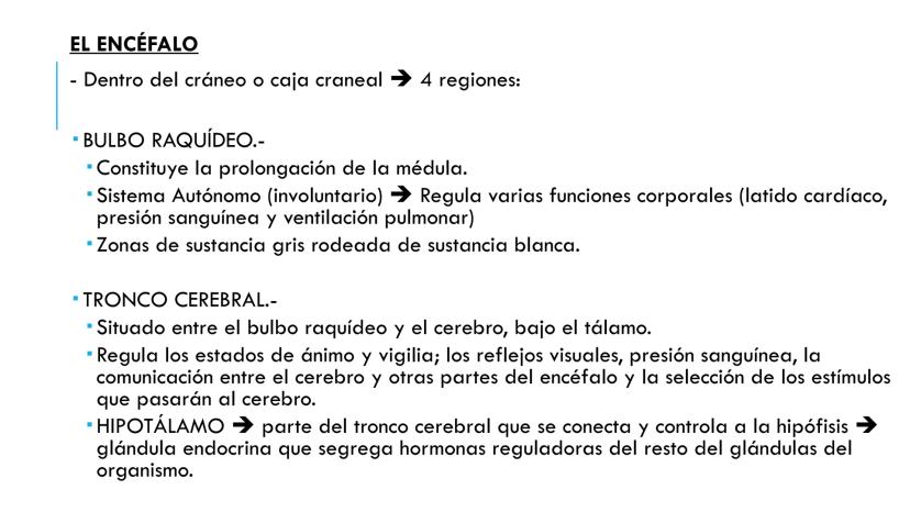 
<p>El sistema nervioso es una parte fundamental del cuerpo humano, encargado de cumplir tres funciones esenciales: la función de relación, 