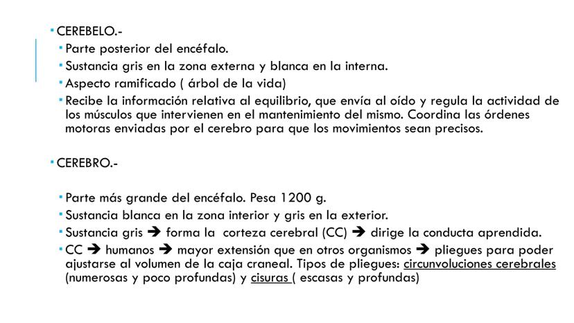 
<p>El sistema nervioso es una parte fundamental del cuerpo humano, encargado de cumplir tres funciones esenciales: la función de relación, 