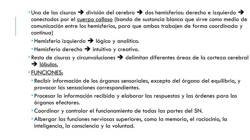 
<p>El sistema nervioso es una parte fundamental del cuerpo humano, encargado de cumplir tres funciones esenciales: la función de relación, 