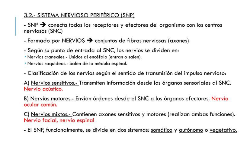 
<p>El sistema nervioso es una parte fundamental del cuerpo humano, encargado de cumplir tres funciones esenciales: la función de relación, 