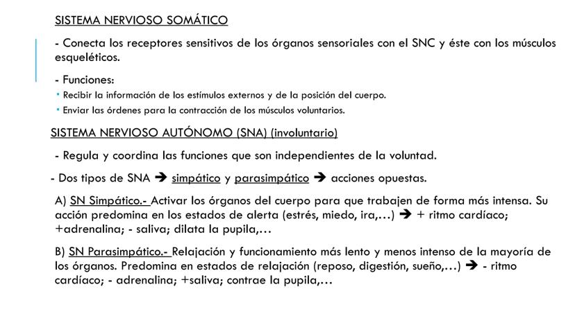 
<p>El sistema nervioso es una parte fundamental del cuerpo humano, encargado de cumplir tres funciones esenciales: la función de relación, 