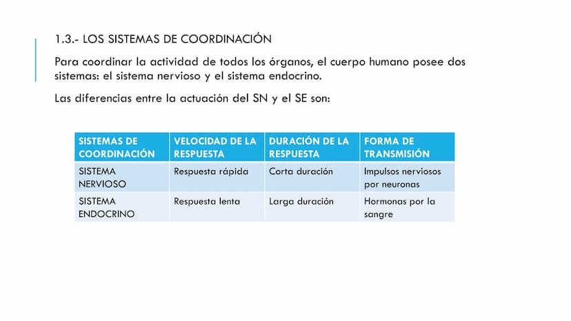 
<p>El sistema nervioso es una parte fundamental del cuerpo humano, encargado de cumplir tres funciones esenciales: la función de relación, 