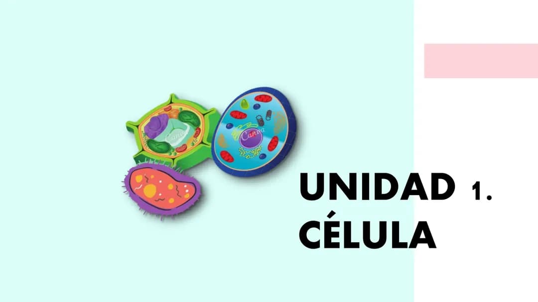 Introducción a la Biología: Células y sus funciones