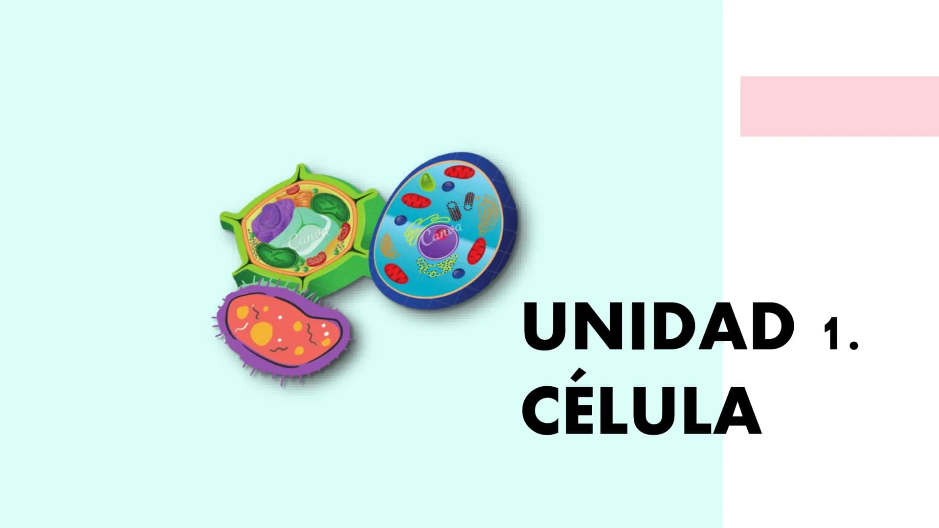 Canva
Canga
UNIDAD 1.
CÉLULA ÍNDICE
INTRODUCCIÓN A LA BIOLOGÍA:
Vivo/no vivo; niveles de organización; definiciones "Vida"; Célula
y Teoría 