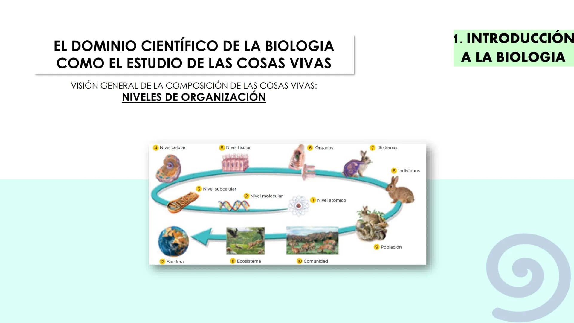 Canva
Canga
UNIDAD 1.
CÉLULA ÍNDICE
INTRODUCCIÓN A LA BIOLOGÍA:
Vivo/no vivo; niveles de organización; definiciones "Vida"; Célula
y Teoría 