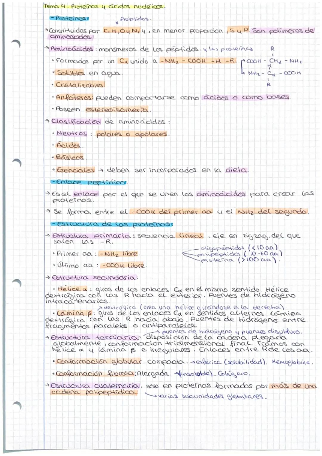 Tema 4. Proteínas 4 cicidos nucleicos.
-Proternos
Proplidos.
Constituidas por C, H, 04 N, 4, en menor proporcion, 5 y P. Son polimeros de
am