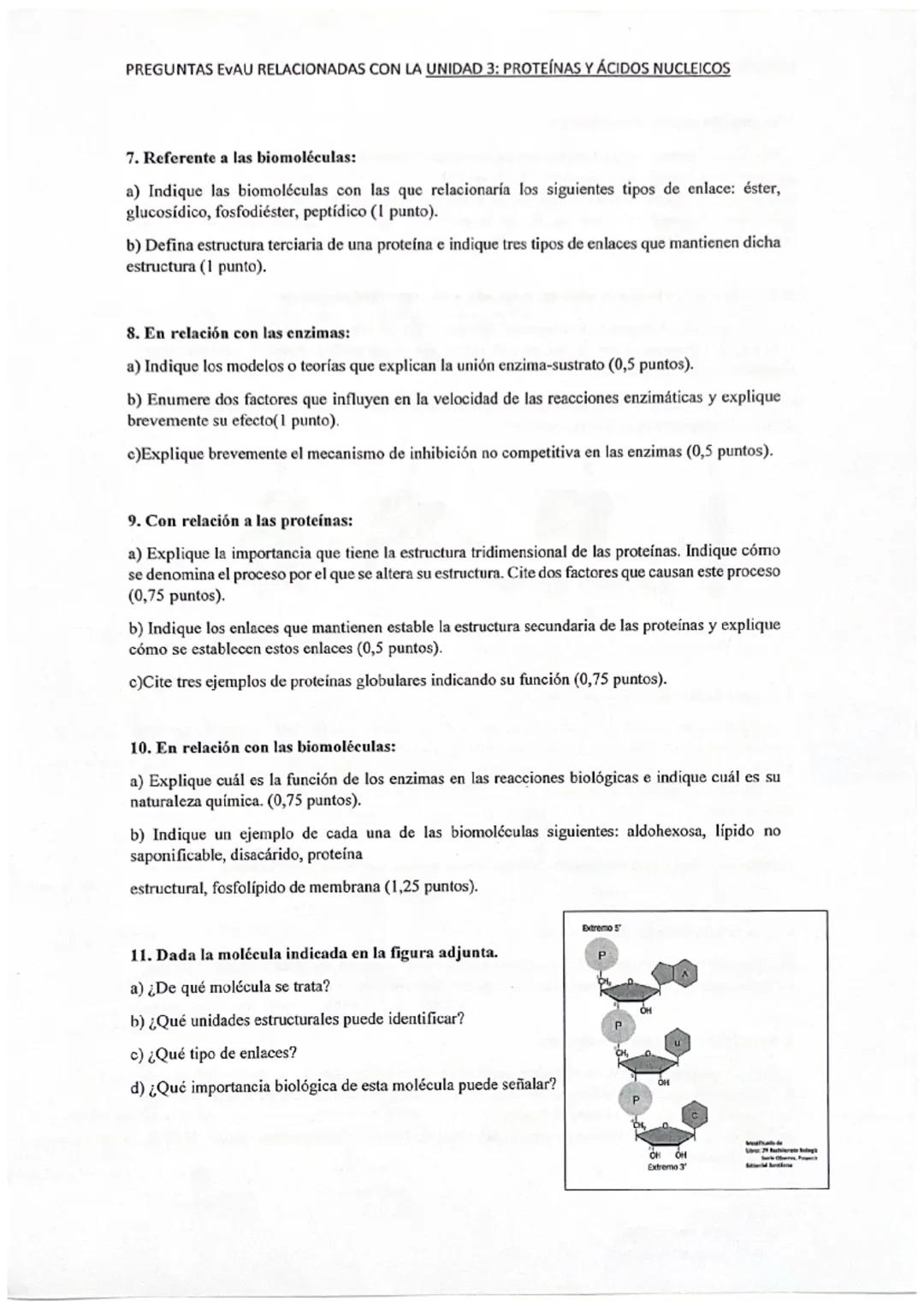 Tema 4. Proteínas 4 cicidos nucleicos.
-Proternos
Proplidos.
Constituidas por C, H, 04 N, 4, en menor proporcion, 5 y P. Son polimeros de
am