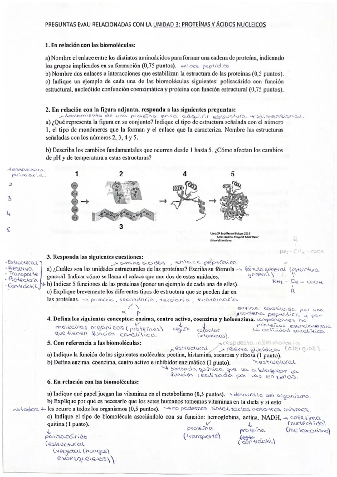 Tema 4. Proteínas 4 cicidos nucleicos.
-Proternos
Proplidos.
Constituidas por C, H, 04 N, 4, en menor proporcion, 5 y P. Son polimeros de
am