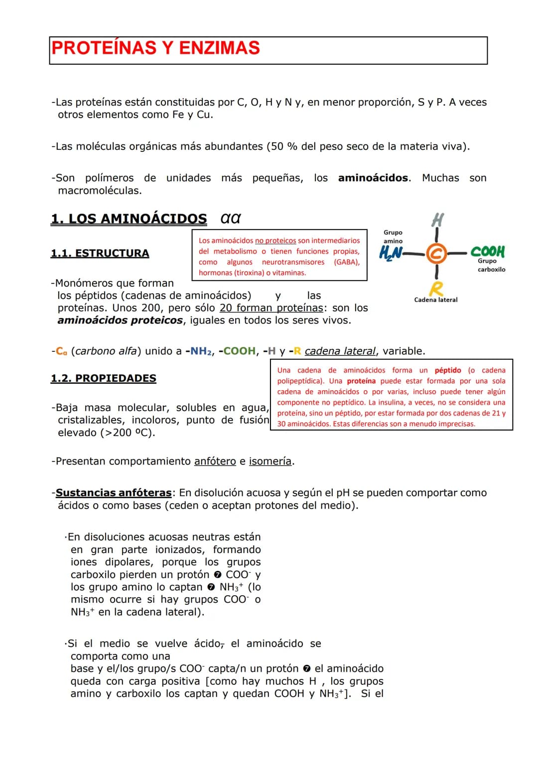 PROTEÍNAS Y ENZIMAS
-Las proteínas están constituidas por C, O, H y N y, en menor proporción, S y P. A veces
otros elementos como Fe y Cu.
-