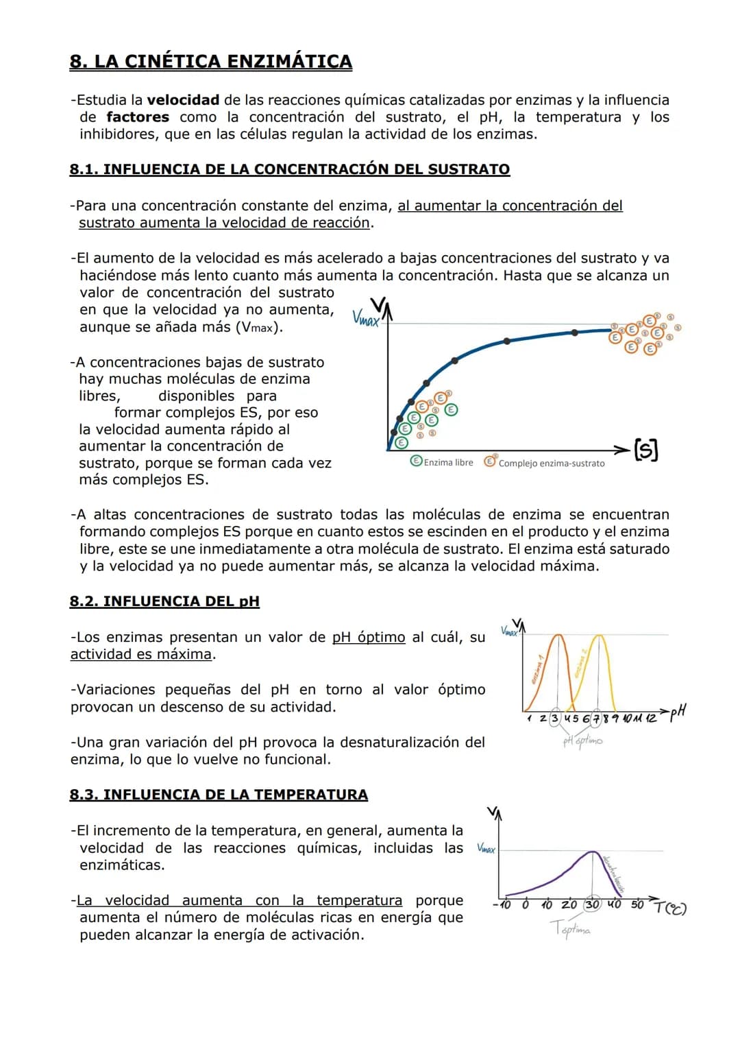 PROTEÍNAS Y ENZIMAS
-Las proteínas están constituidas por C, O, H y N y, en menor proporción, S y P. A veces
otros elementos como Fe y Cu.
-
