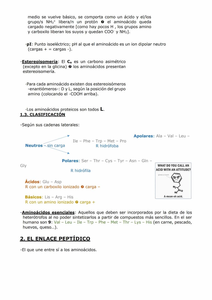 PROTEÍNAS Y ENZIMAS
-Las proteínas están constituidas por C, O, H y N y, en menor proporción, S y P. A veces
otros elementos como Fe y Cu.
-