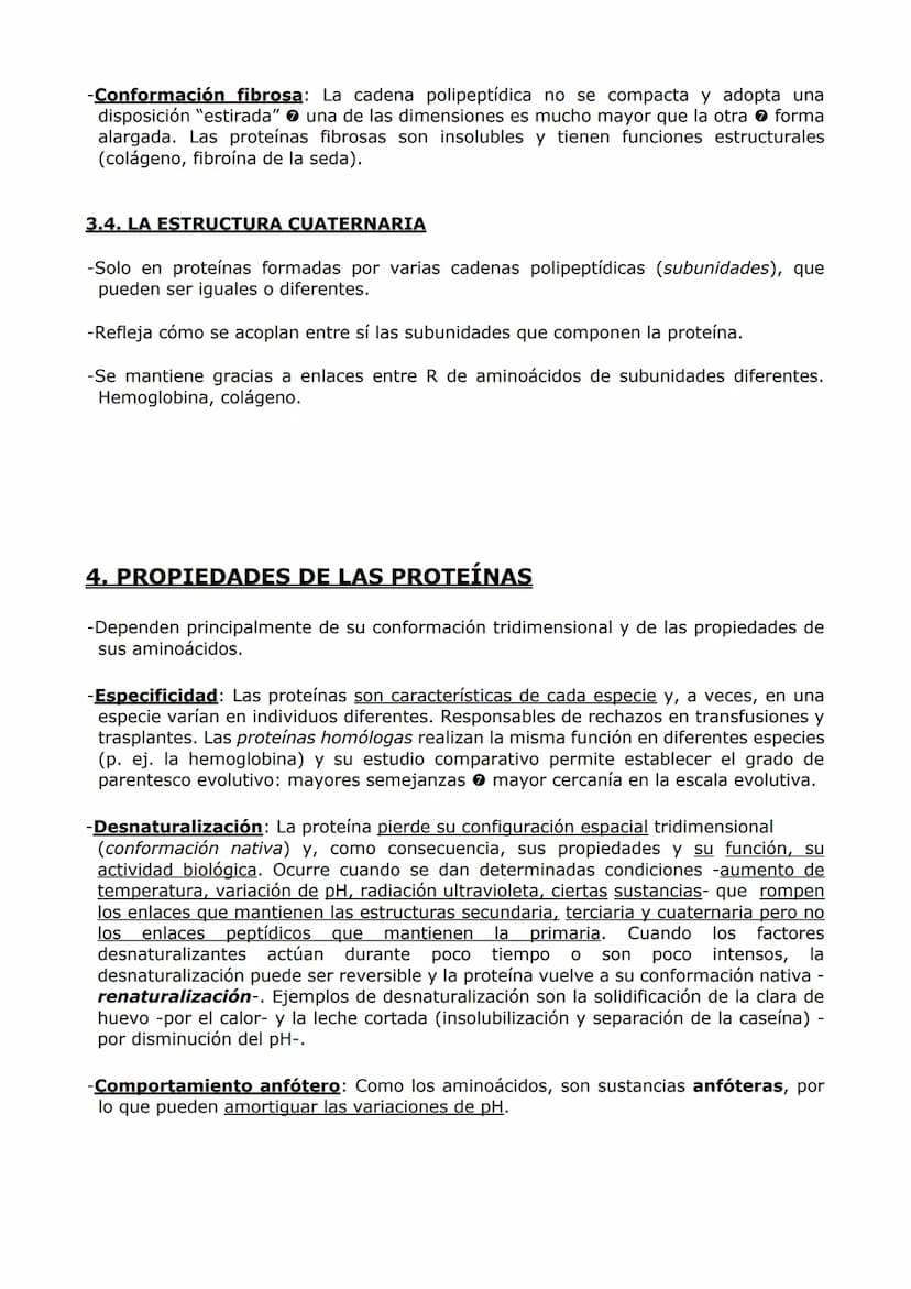 PROTEÍNAS Y ENZIMAS
-Las proteínas están constituidas por C, O, H y N y, en menor proporción, S y P. A veces
otros elementos como Fe y Cu.
-