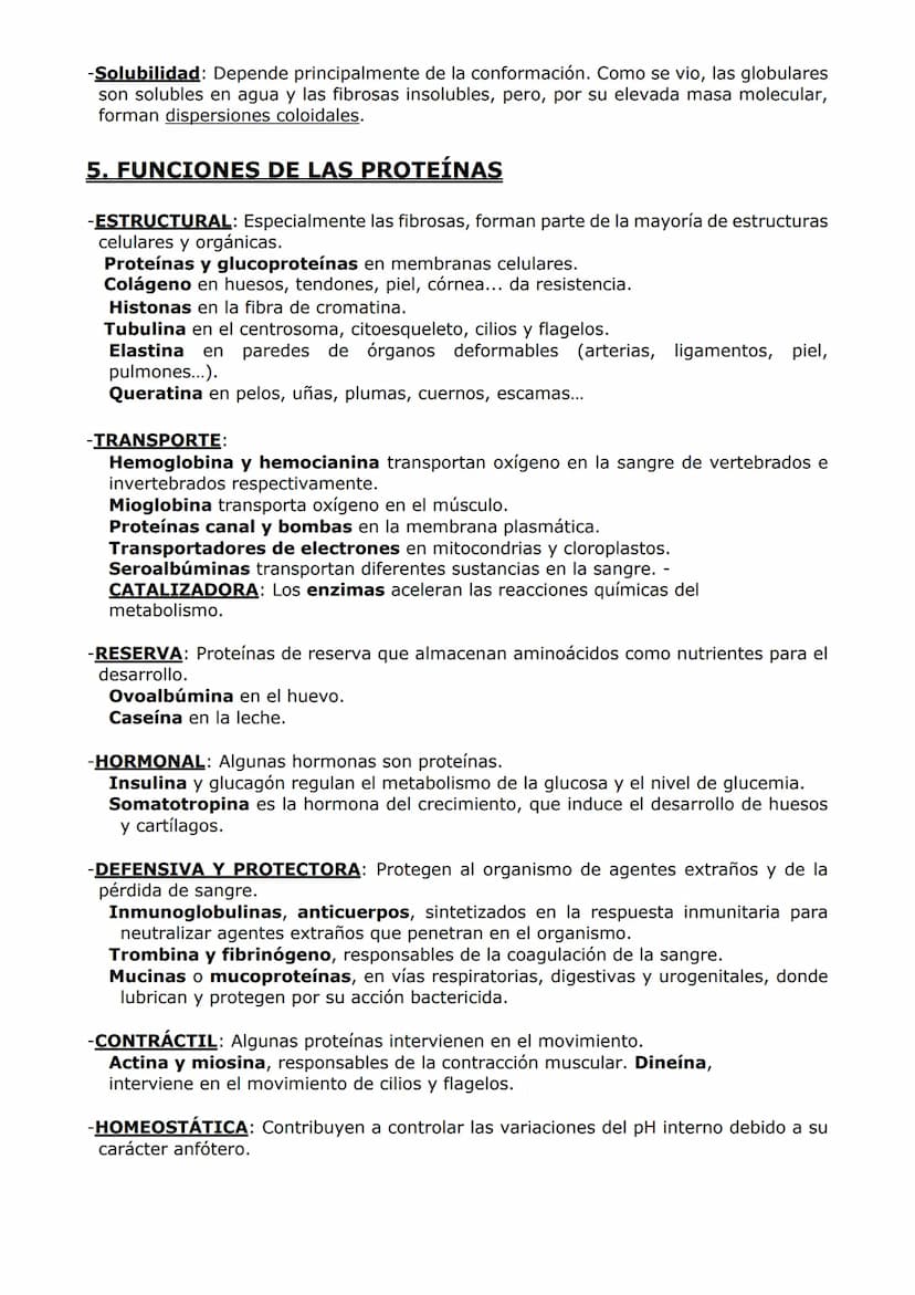 PROTEÍNAS Y ENZIMAS
-Las proteínas están constituidas por C, O, H y N y, en menor proporción, S y P. A veces
otros elementos como Fe y Cu.
-