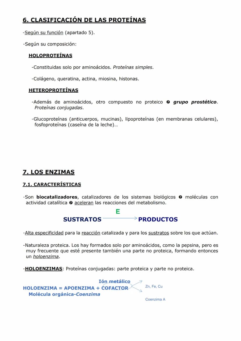 PROTEÍNAS Y ENZIMAS
-Las proteínas están constituidas por C, O, H y N y, en menor proporción, S y P. A veces
otros elementos como Fe y Cu.
-