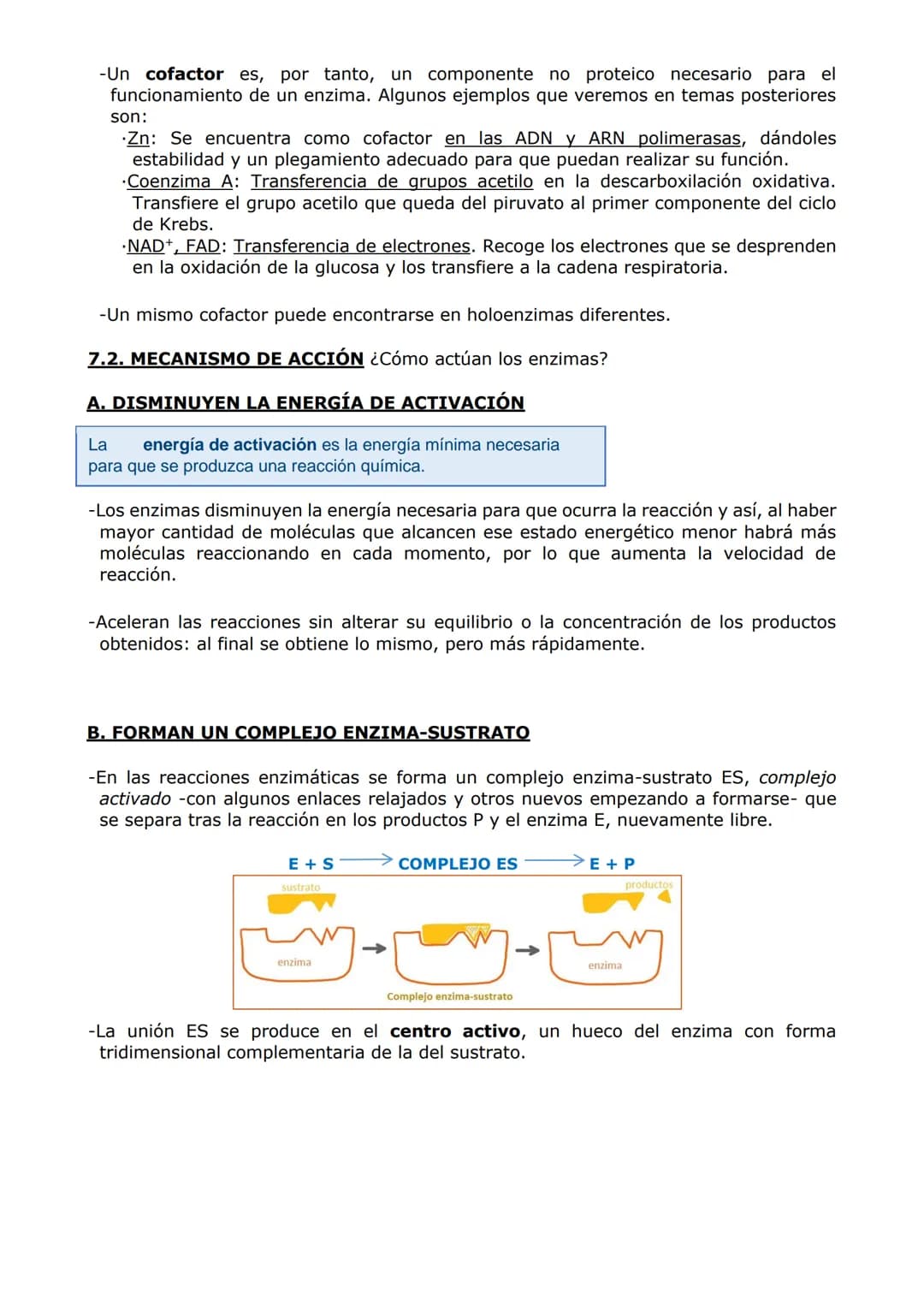 PROTEÍNAS Y ENZIMAS
-Las proteínas están constituidas por C, O, H y N y, en menor proporción, S y P. A veces
otros elementos como Fe y Cu.
-
