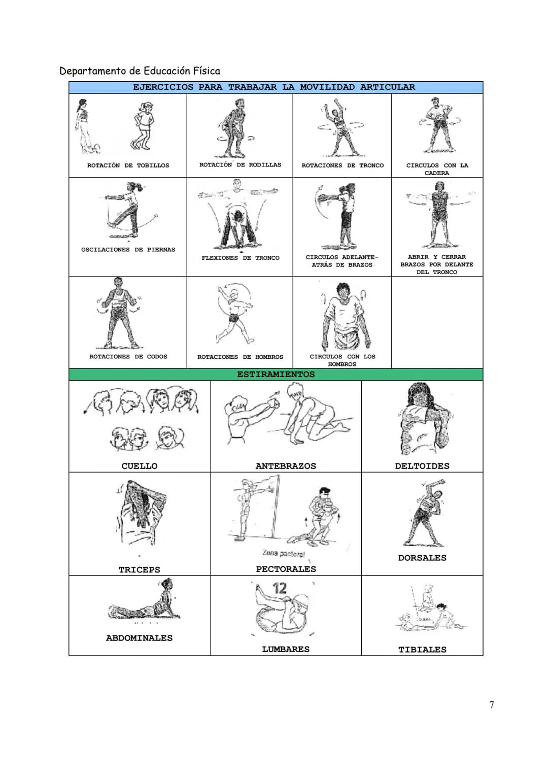 Departamento de Educación Física
EL CALENTAMIENTO
EI CALENTAMIENTO es la serie de ejercicios que se deben realizar siempre ANTES de cualquie