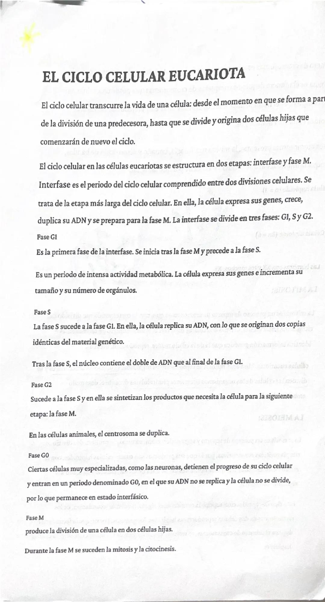 # RESUMEN BIOLOGÍA. TUINO ALI

La teoría celular:

Unidad estructural
significa que todo ser vivo está formado por una célula.

Unidad funci