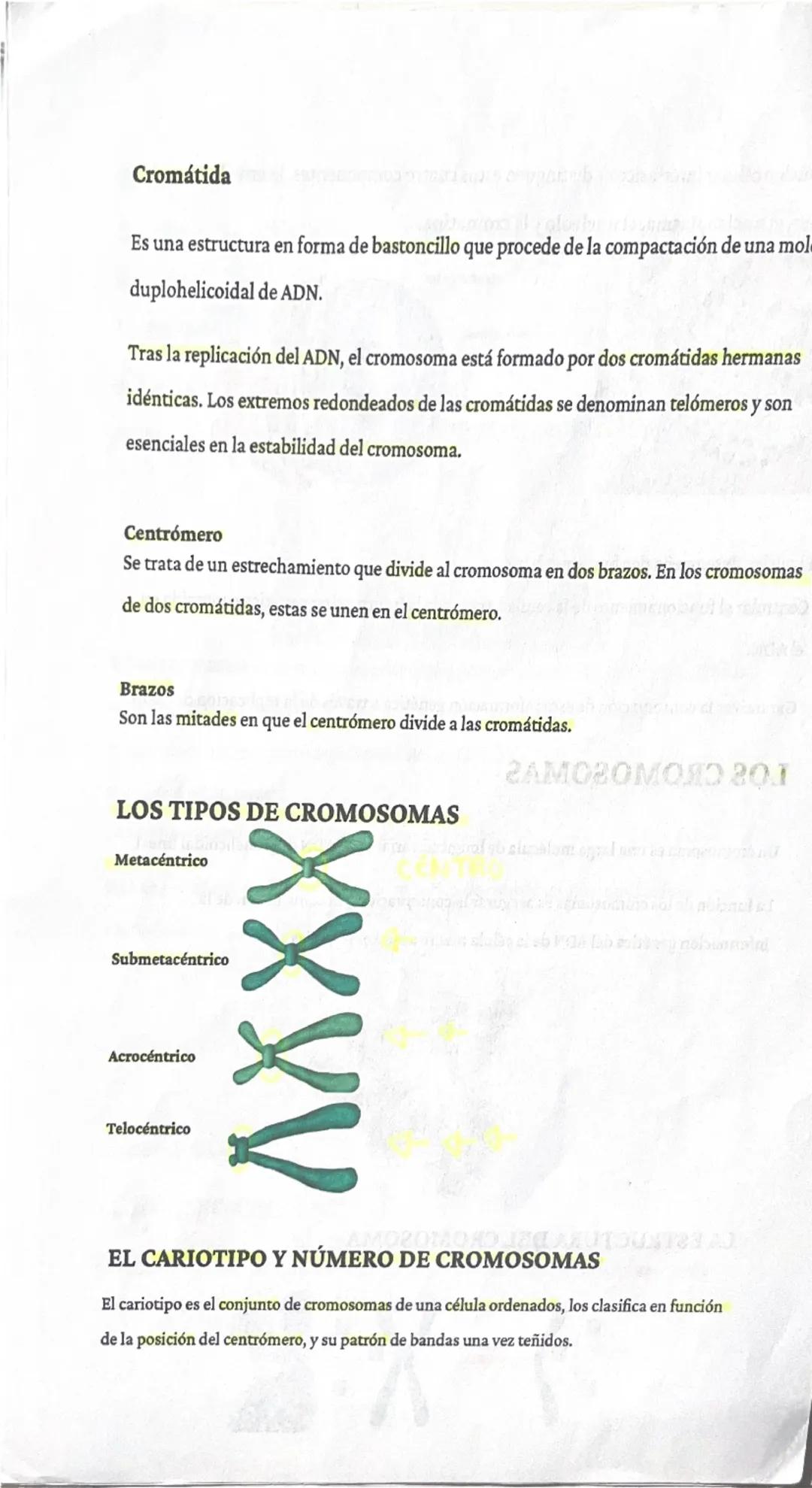 # RESUMEN BIOLOGÍA. TUINO ALI

La teoría celular:

Unidad estructural
significa que todo ser vivo está formado por una célula.

Unidad funci
