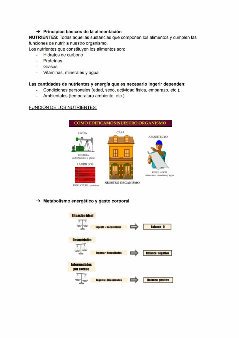 
<p>El tema 1 abarca las generalidades de la alimentación humana. Incluye los conceptos de alimentación y nutrición. La alimentación se defi