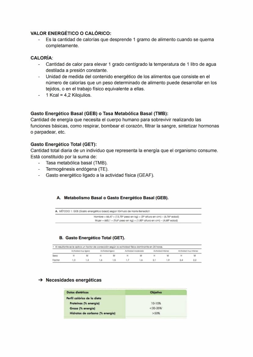 
<p>El tema 1 abarca las generalidades de la alimentación humana. Incluye los conceptos de alimentación y nutrición. La alimentación se defi