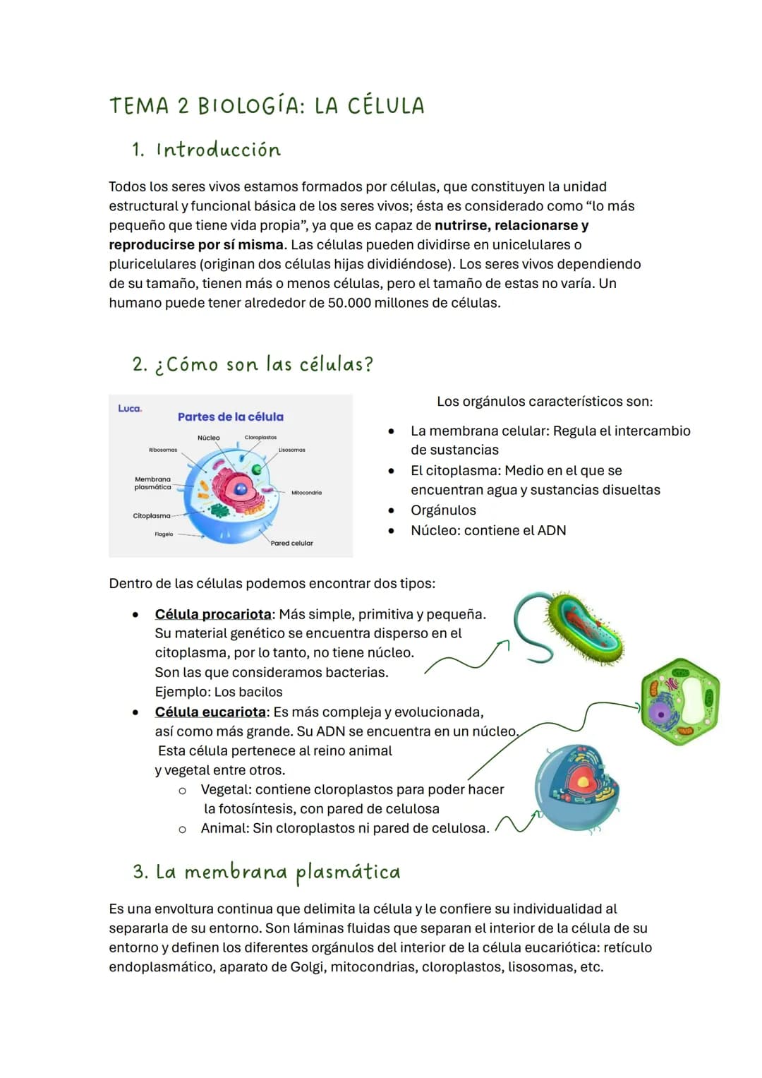 TEMA 2 BIOLOGÍA: LA CÉLULA
1. Introducción
Todos los seres vivos estamos formados por células, que constituyen la unidad
estructural y funci