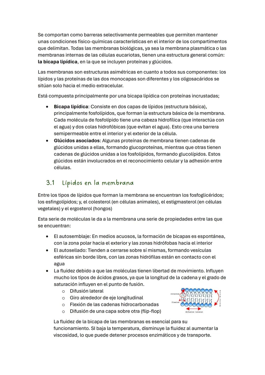 TEMA 2 BIOLOGÍA: LA CÉLULA
1. Introducción
Todos los seres vivos estamos formados por células, que constituyen la unidad
estructural y funci