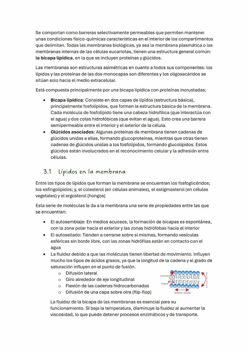 TEMA 2 BIOLOGÍA: LA CÉLULA
1. Introducción
Todos los seres vivos estamos formados por células, que constituyen la unidad
estructural y funci