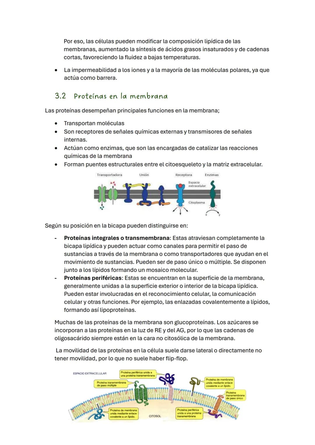 TEMA 2 BIOLOGÍA: LA CÉLULA
1. Introducción
Todos los seres vivos estamos formados por células, que constituyen la unidad
estructural y funci