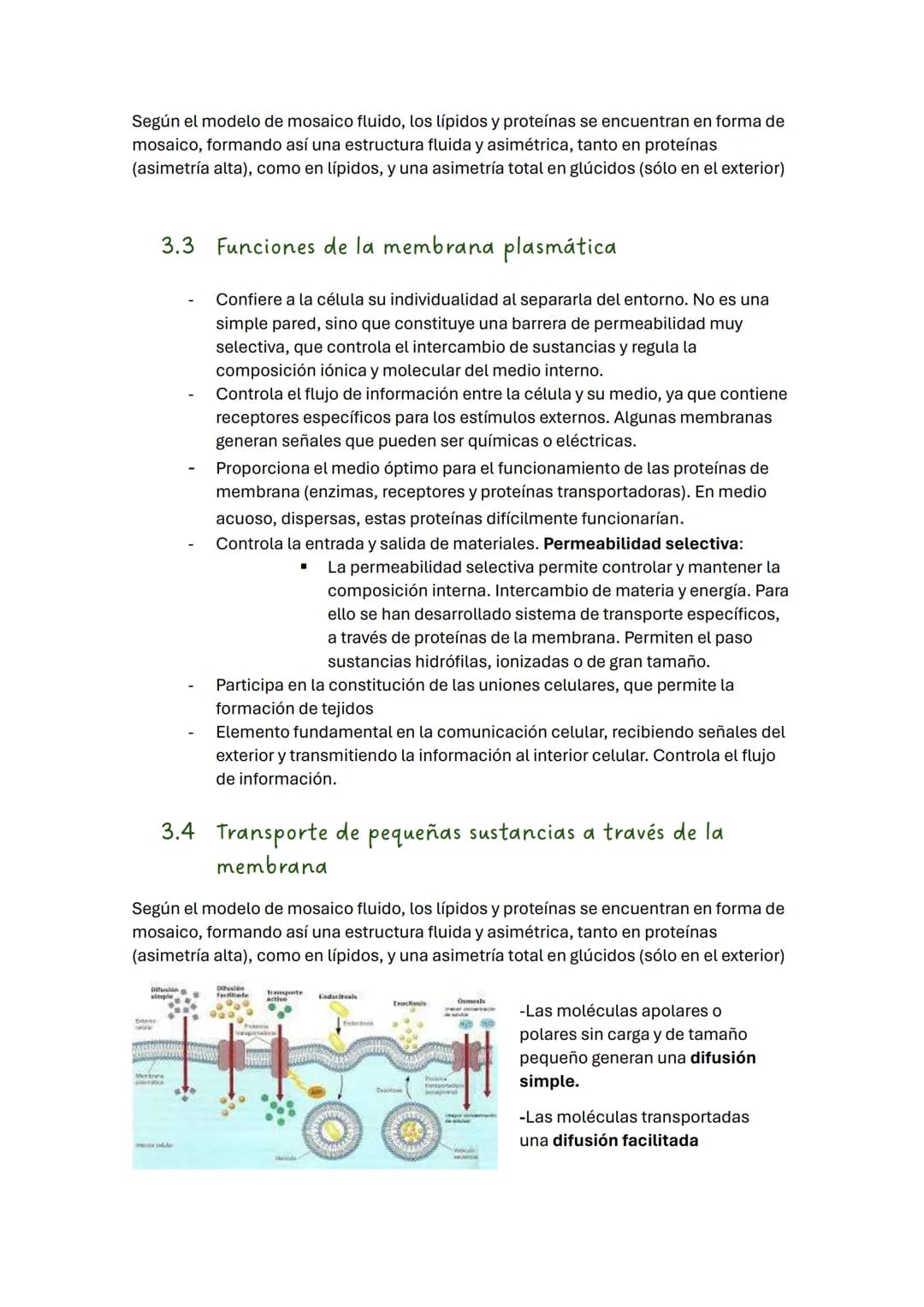 TEMA 2 BIOLOGÍA: LA CÉLULA
1. Introducción
Todos los seres vivos estamos formados por células, que constituyen la unidad
estructural y funci