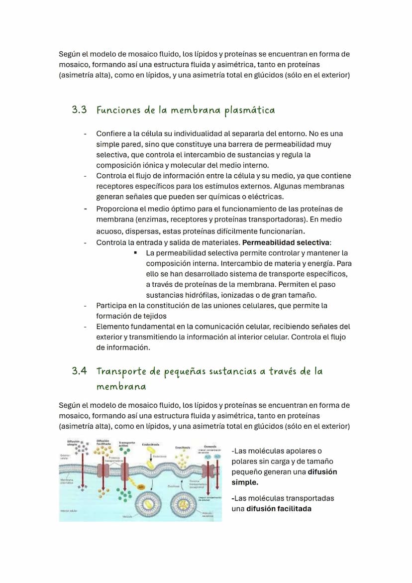 TEMA 2 BIOLOGÍA: LA CÉLULA
1. Introducción
Todos los seres vivos estamos formados por células, que constituyen la unidad
estructural y funci