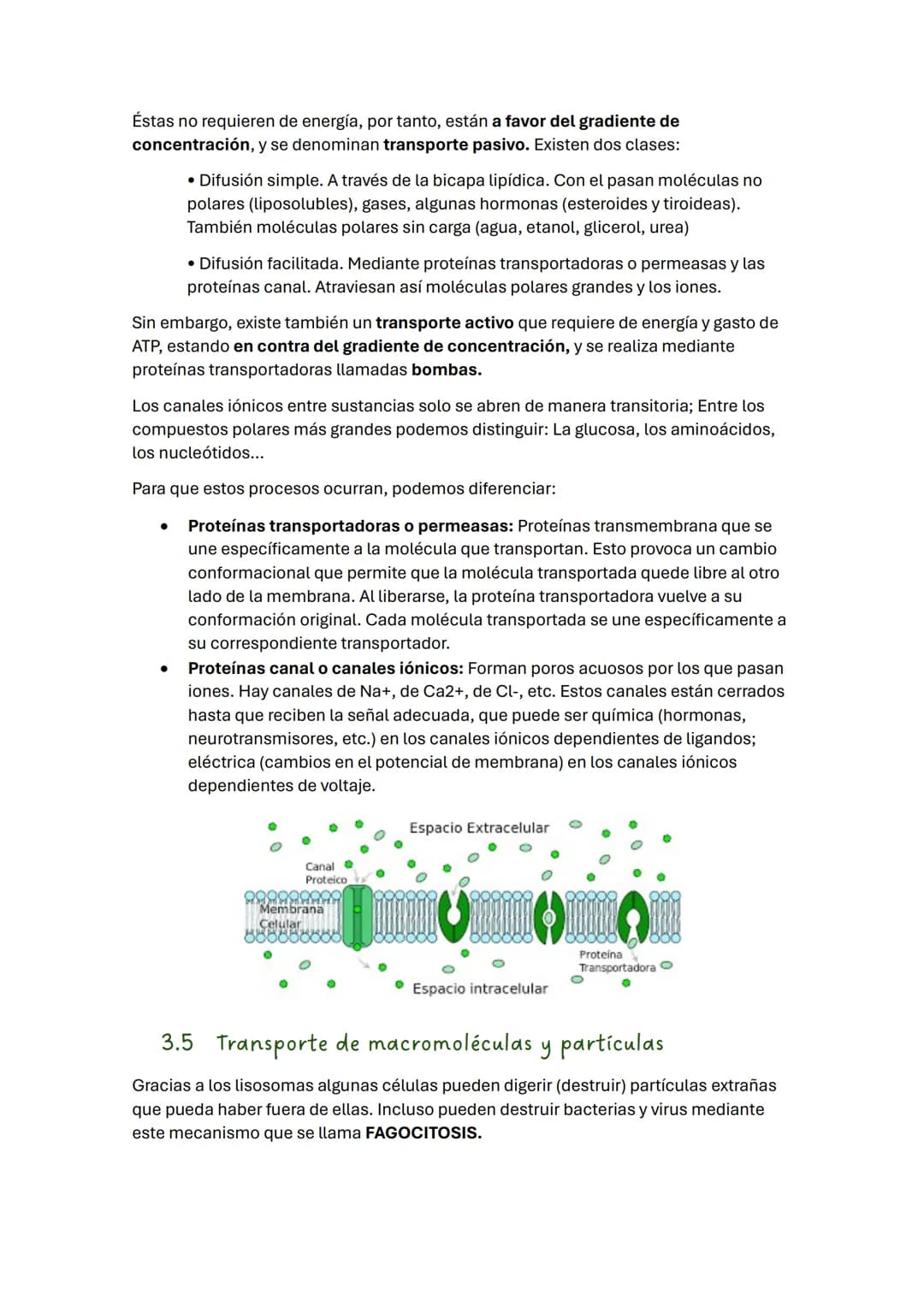 TEMA 2 BIOLOGÍA: LA CÉLULA
1. Introducción
Todos los seres vivos estamos formados por células, que constituyen la unidad
estructural y funci