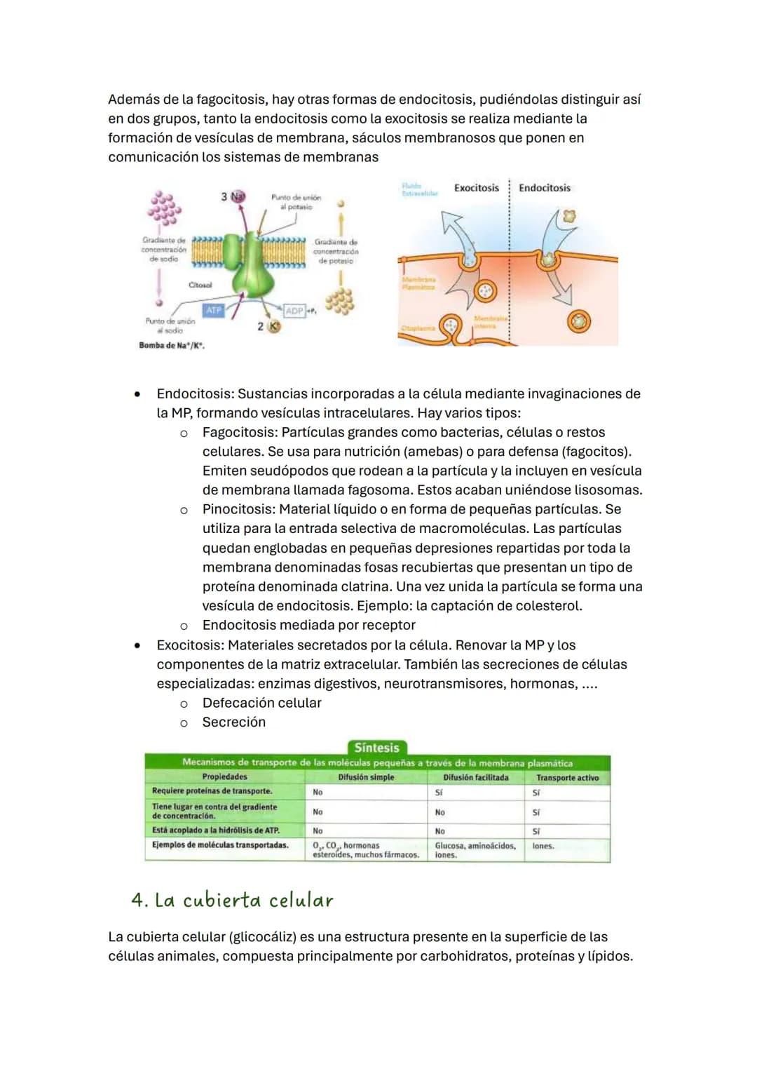 TEMA 2 BIOLOGÍA: LA CÉLULA
1. Introducción
Todos los seres vivos estamos formados por células, que constituyen la unidad
estructural y funci