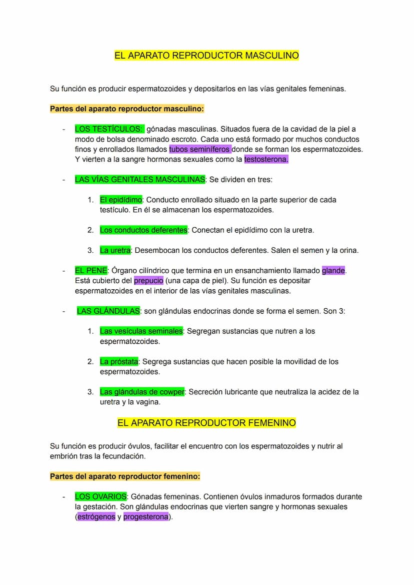 CARACTERÍSTICAS DE LA REPRODUCCIÓN HUMANA
Es sexual.
A través de los gametos que se forman en los aparatos masculino y femenino.
Los gametos