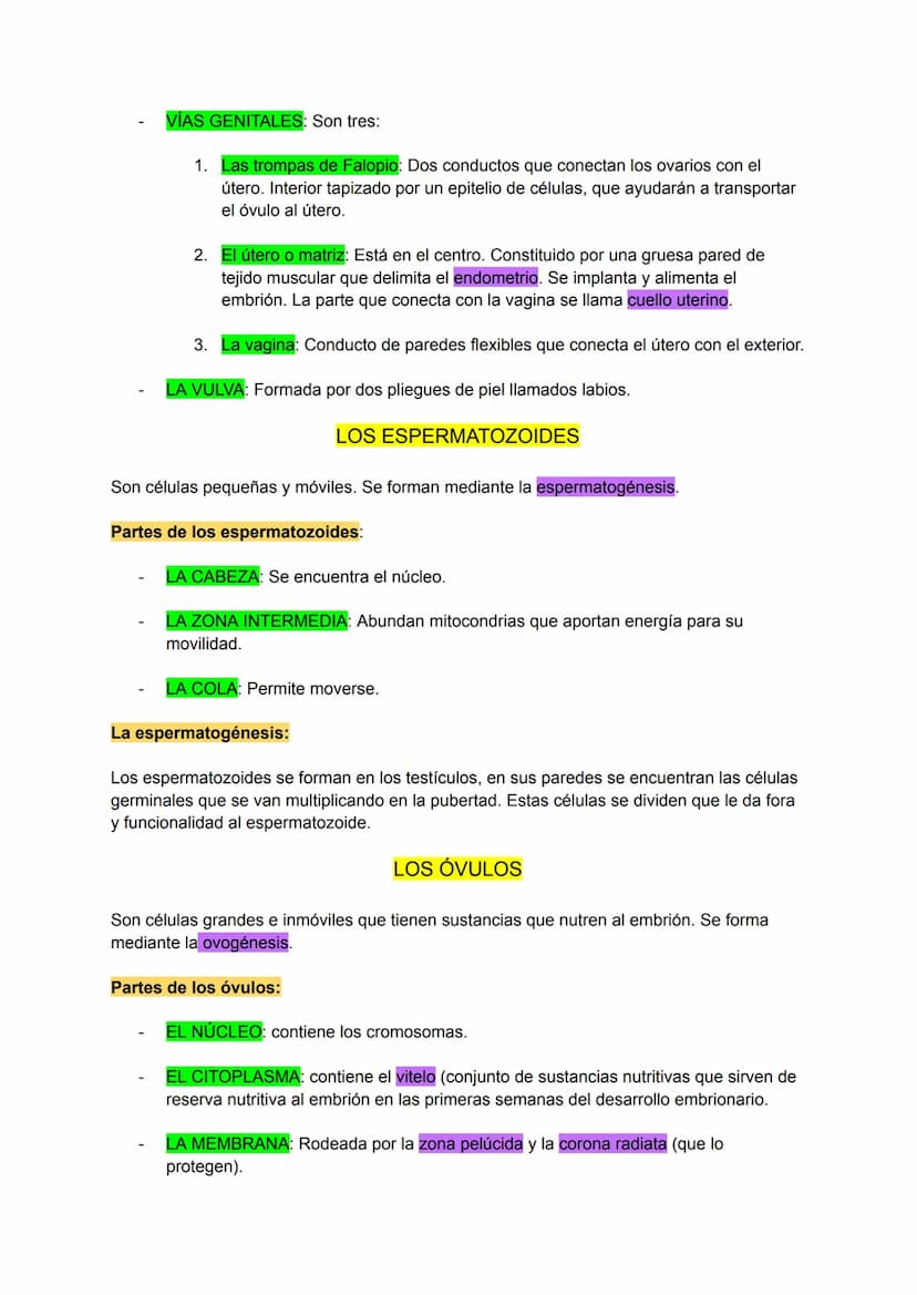 CARACTERÍSTICAS DE LA REPRODUCCIÓN HUMANA
Es sexual.
A través de los gametos que se forman en los aparatos masculino y femenino.
Los gametos