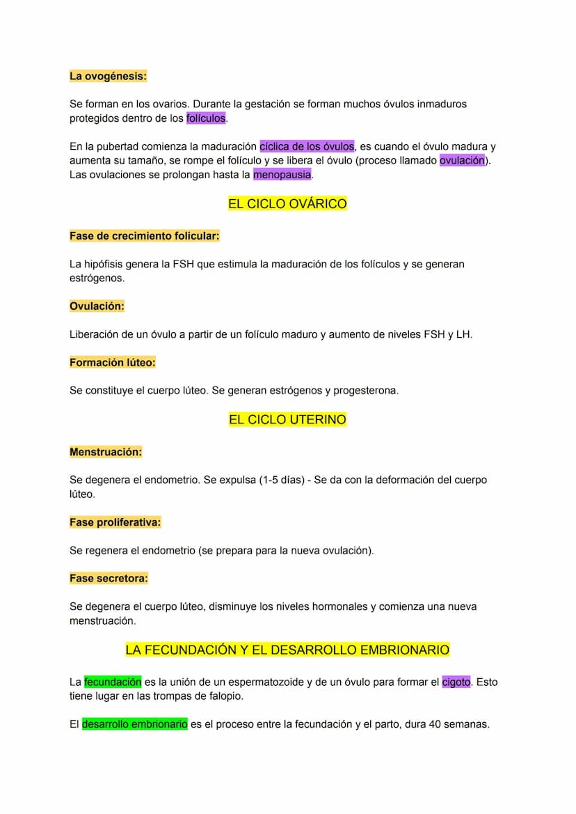 CARACTERÍSTICAS DE LA REPRODUCCIÓN HUMANA
Es sexual.
A través de los gametos que se forman en los aparatos masculino y femenino.
Los gametos
