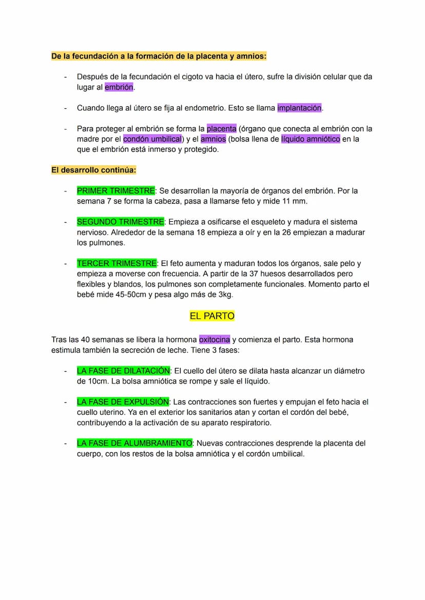 CARACTERÍSTICAS DE LA REPRODUCCIÓN HUMANA
Es sexual.
A través de los gametos que se forman en los aparatos masculino y femenino.
Los gametos