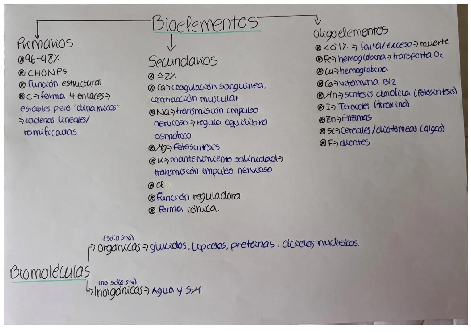 Primavios
096-98%
@CHONPS
Función estructural
cforma 4 enlaces
esteubles pero "dincimicos"
cadenas lineales/
ramificadas.
Bioelementos
Secun