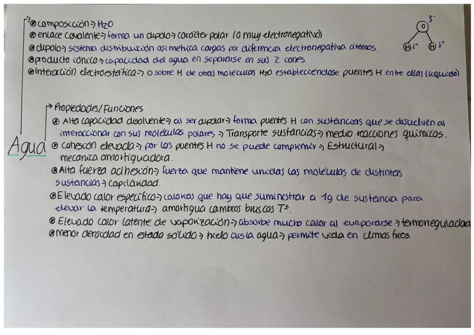 Primavios
096-98%
@CHONPS
Función estructural
cforma 4 enlaces
esteubles pero "dincimicos"
cadenas lineales/
ramificadas.
Bioelementos
Secun