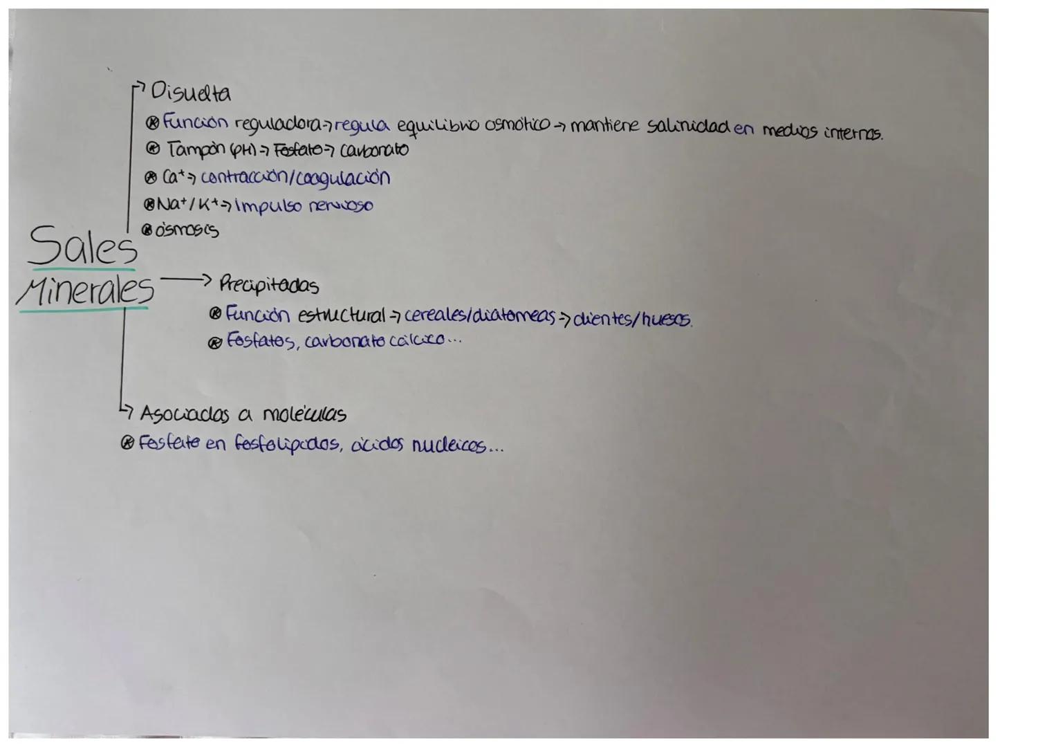 Primavios
096-98%
@CHONPS
Función estructural
cforma 4 enlaces
esteubles pero "dincimicos"
cadenas lineales/
ramificadas.
Bioelementos
Secun