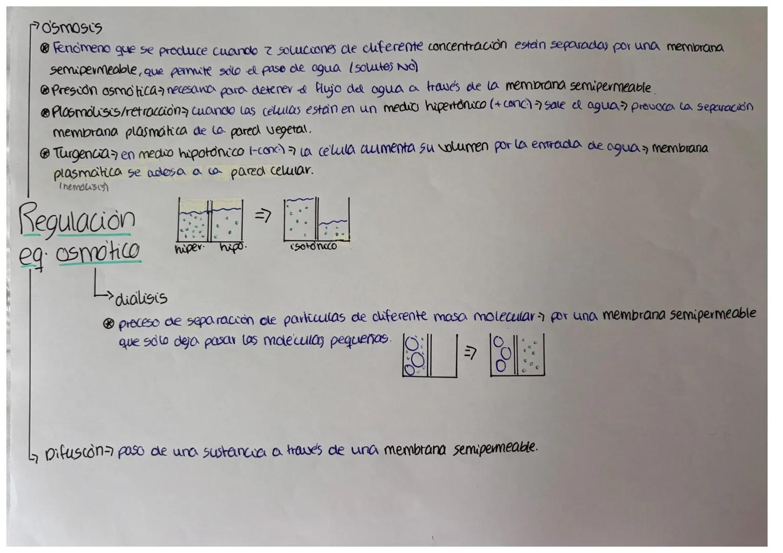 Primavios
096-98%
@CHONPS
Función estructural
cforma 4 enlaces
esteubles pero "dincimicos"
cadenas lineales/
ramificadas.
Bioelementos
Secun