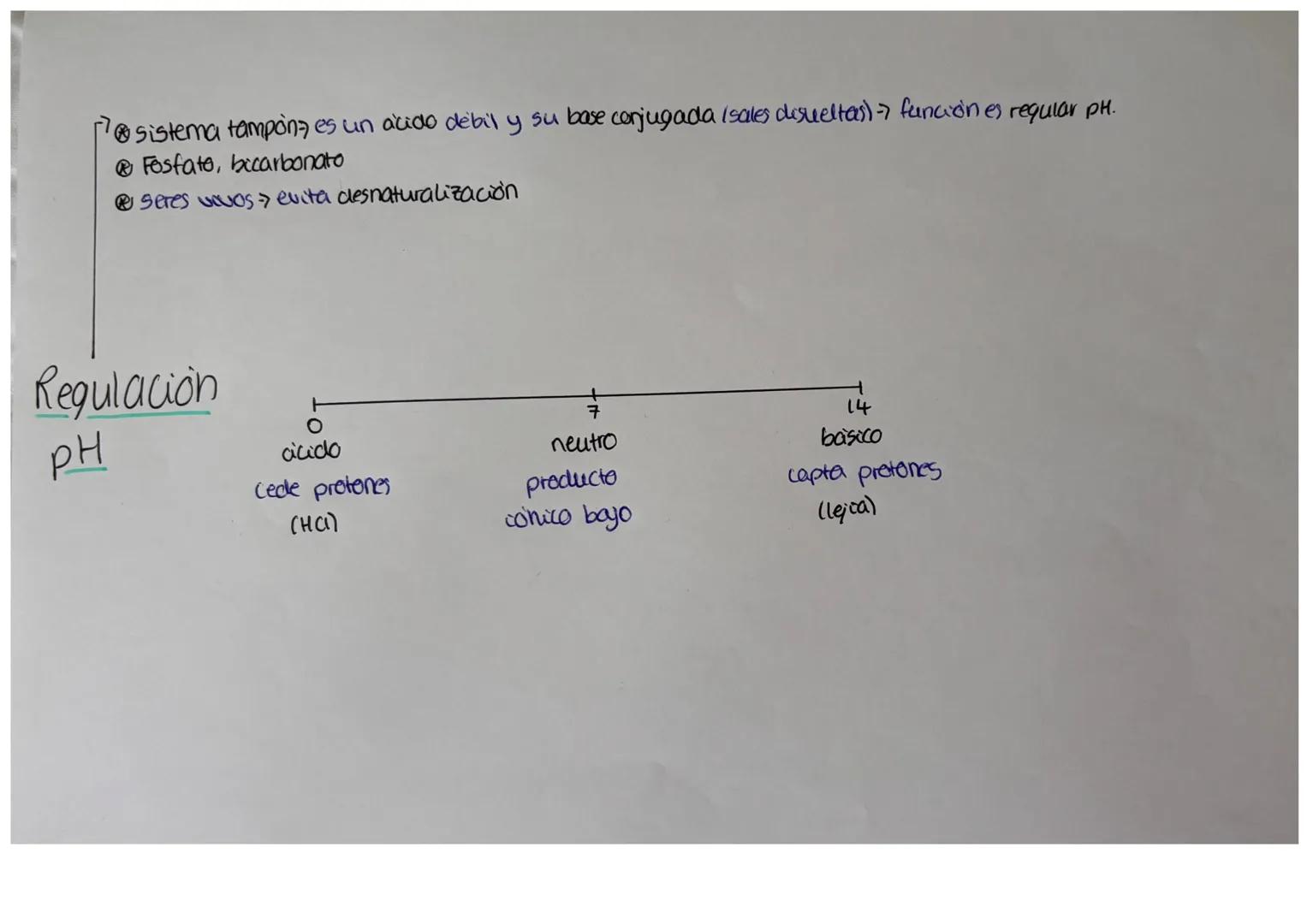 Primavios
096-98%
@CHONPS
Función estructural
cforma 4 enlaces
esteubles pero "dincimicos"
cadenas lineales/
ramificadas.
Bioelementos
Secun